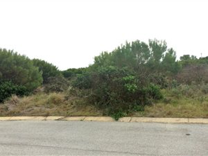 620 m² Land available in Fountains Estate