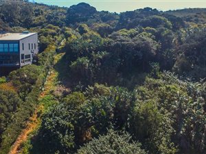 1679 m² Land available in Westbrook