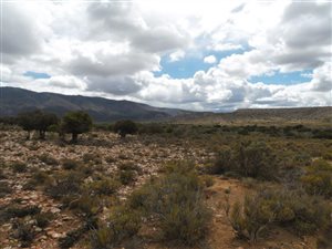 7000 ha Farm in Ladismith