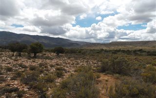 7000 ha Farm in Ladismith