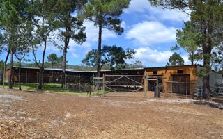 2.1 ha Farm in Albertinia