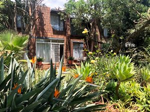 3 Bed House in Hazelwood
