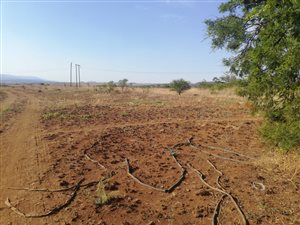 1 ha Land available in Lydenburg
