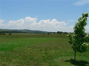 1600 m² Land available in Nottingham Road