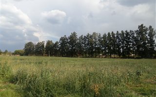 2.5 ha Land available in Glen Austin