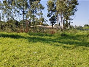 8566 m² Land available in Benoni AH