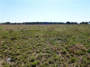 21.4 ha Farm in Grootfontein Estate