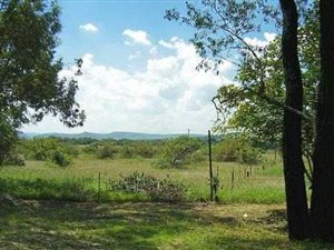 21 ha Farm in Knopjeslaagte