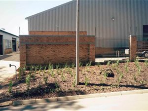 300 m² Industrial space in Chloorkop