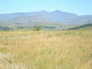 7957 m² Land available in Underberg