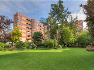 1 Bed Apartment in Houghton Estate