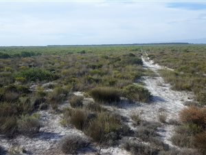 584.8 ha Farm in Hopefield