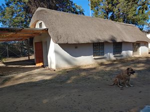 1 Bed Garden Cottage in Muldersdrift