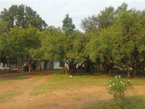 3 ha Land available in Raslouw AH