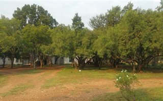 3 ha Land available in Raslouw AH