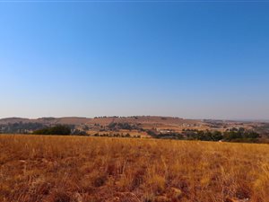 19.7 ha Land available in Muldersdrift