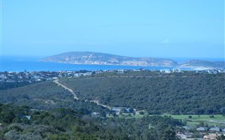 1618 m² Land available in Schoongezicht