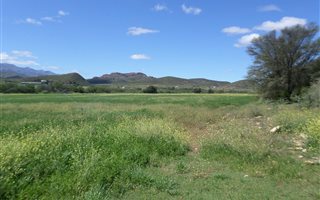 18 ha Farm in De Rust
