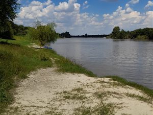 2304 m² Farm in Wolmaranstad