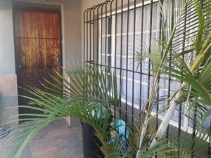3 Bed House in Bo Dorp