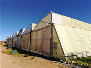 Farm in Vredendal