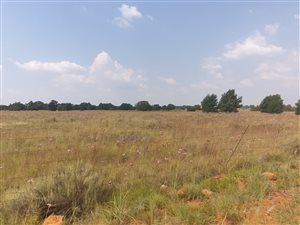 11.6 ha Farm in Grootfontein Estate