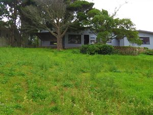 5 Bed House in Wilderness