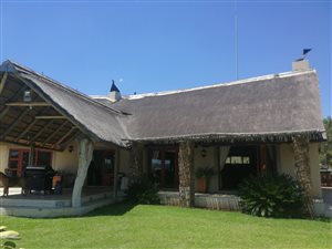 800 ha Farm in Vaalwater