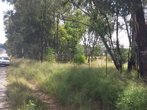 4.8 ha Land available in Bapsfontein
