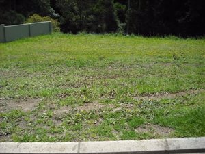 915 m² Land available in Heather Park