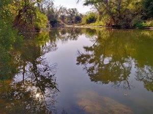 42.8 ha Farm in Tzaneen