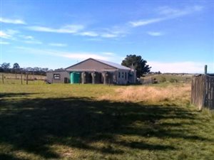 26 ha Farm in George Central
