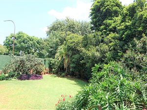 3 Bed House in Observatory