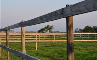 10.8 ha Farm in Sunrise on Sea