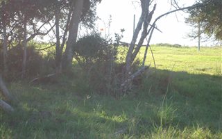 854 m² Land available in Cove Rock