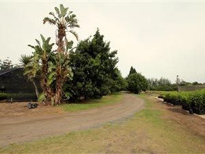 Commercial space in Richards Bay Central