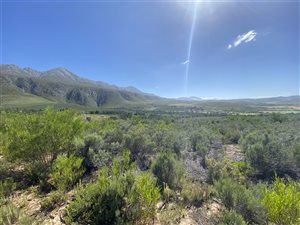 1.6 ha Farm in Oudtshoorn