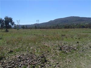 6 ha Farm in Elandsfontein AH