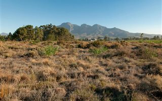 1085 m² Land available in Pearl Valley