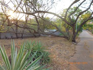 2465 m² Land available in Murrayfield