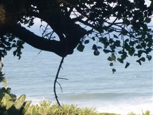 3593 m² Land available in Bazley Beach