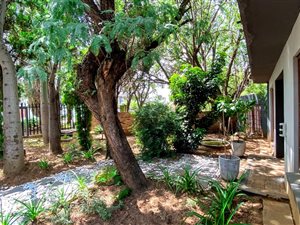6 Bed House in Meyersdal