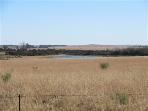 579 ha Farm in Koppies