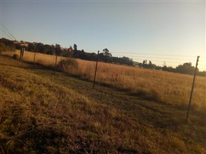 4 ha Land available in Walkerville