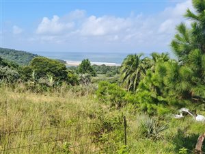 1440 m² Land available in Palm Beach