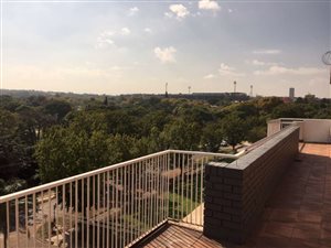 3 Bed Apartment in Sunnyside