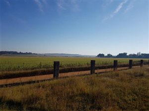 Smallholding in Benoni North AH