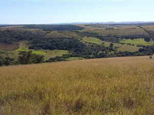 1136 ha Farm in Grahamstown