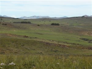 4198 ha Farm in Kareedouw