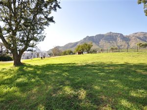 1217 m² Land available in La Pastorale